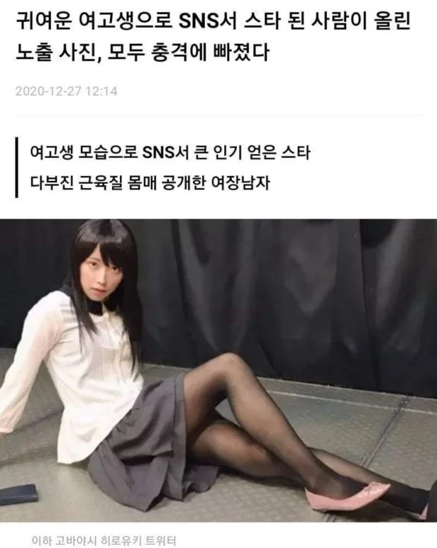 배꼽티·짧은 치마에 수염이? 서대문구 제보 영상의 사실관계와 독자가 지금 확인할 것 관련 이미지
