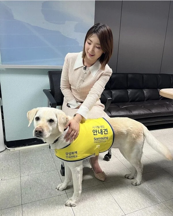 박위·원샷한솔 캠핑장면 논란: 문제 장면은 존재하지만 맥락과 합의가 판단을 가른다 관련 이미지