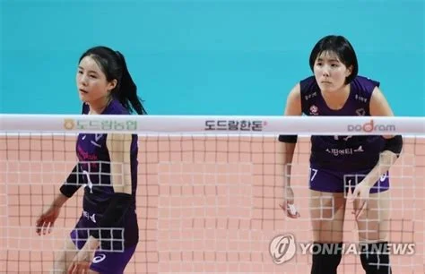 이다영, 아제르바이잔 투란VC 합류·비키니 SNS 공개: 사실관계와 실무적 영향 관련 이미지