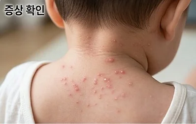 '비서진' 예고·VOD서 확인된 장면: 서인영 '아기처럼 다뤄라' 지침과 이서진의 당혹 관련 이미지